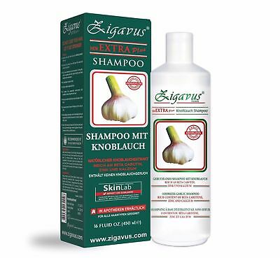 Zigavus Knoblauch Shampoo 450ml Gegen Intensiven Haarausfall Haar